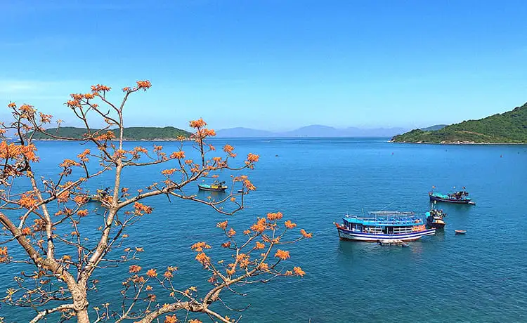 du lịch cù lao chàm