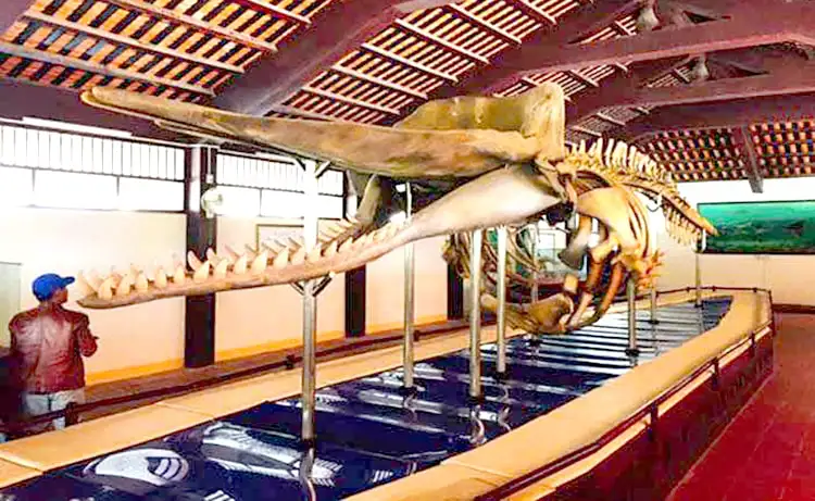 tour phú quý 2 ngày 1 đêm