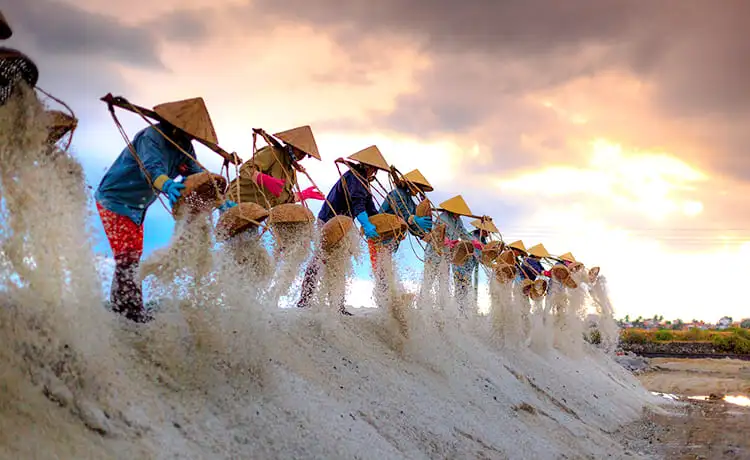đồng muối hòn khói dốc lết nha trang