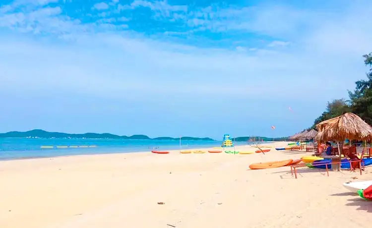 biển hồng vàn du lịch cô tô