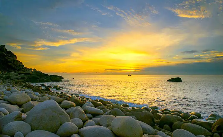 tour du lịch bình hưng 1 ngày