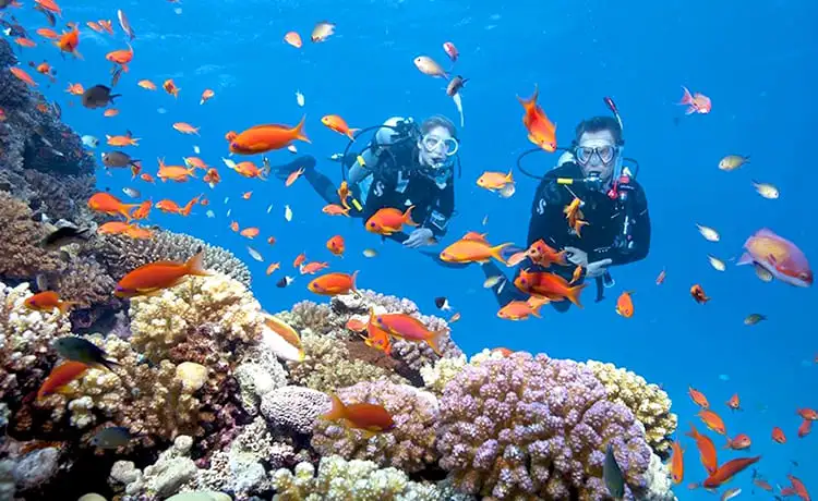 bãi dài cam ranh nha trang