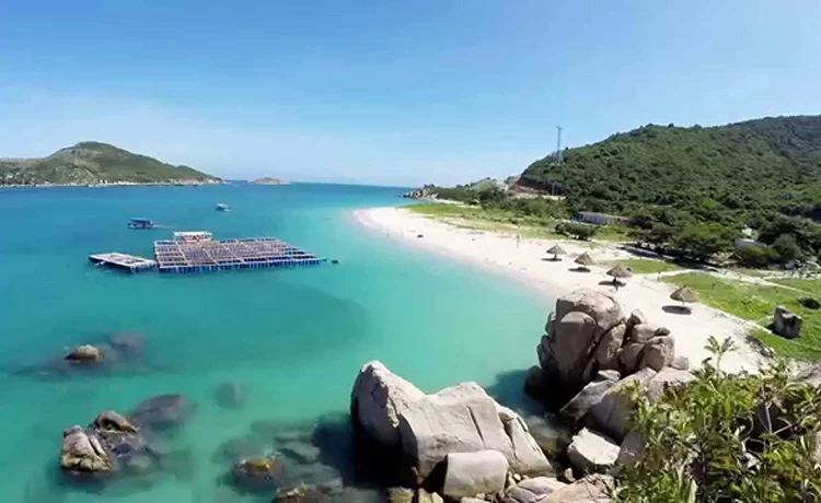 tour du lịch bình hưng 1 ngày