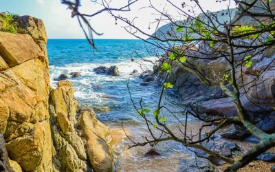 Bán đảo Sơn Trà Đà Nẵng - Điểm đến Đà Nẵng