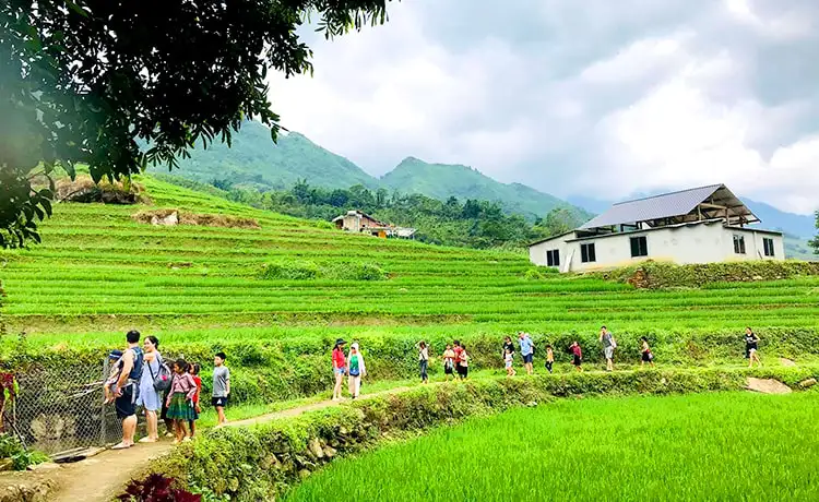 tour hà nội vịnh hạ long sapa 4 ngày 3 đêm