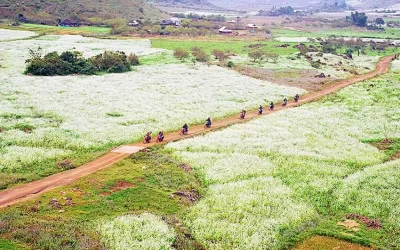 Bản Thung Cuông (Thông Cuông) Mộc Châu - Điểm đến Mộc Châu