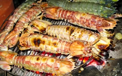 Bề bề nướng Cô Tô - Đặc sản Cô Tô
