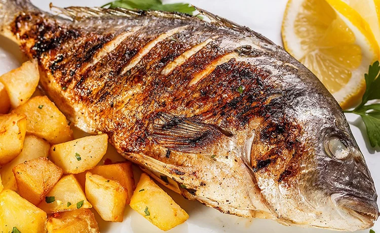 cá tráp biển đặc sản cô tô