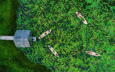 Cánh đồng bất tận - Điểm đến Long An