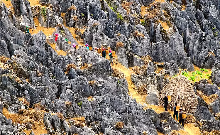 tour hà giang 3 ngày 2 đêm