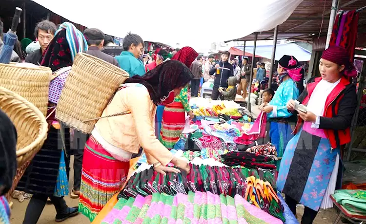 tour vịnh hạ long 3 ngày 2 đêm