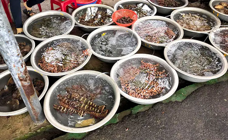 chợ tân hiệp cù lao chàm
