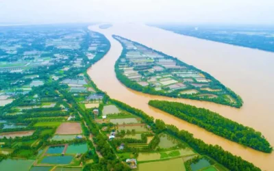 Cồn Chim Trà Vinh - Điểm đến Trà Vinh
