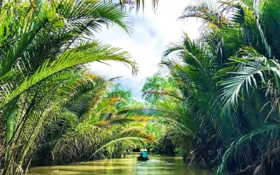 Khu Du Lịch Cồn Phụng - Bến Tre