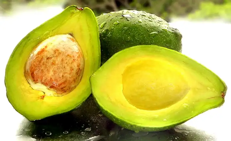 bơ sáp đà lạt