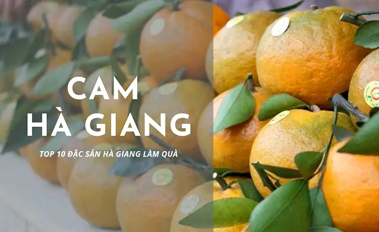 đặc sản cam hà giang