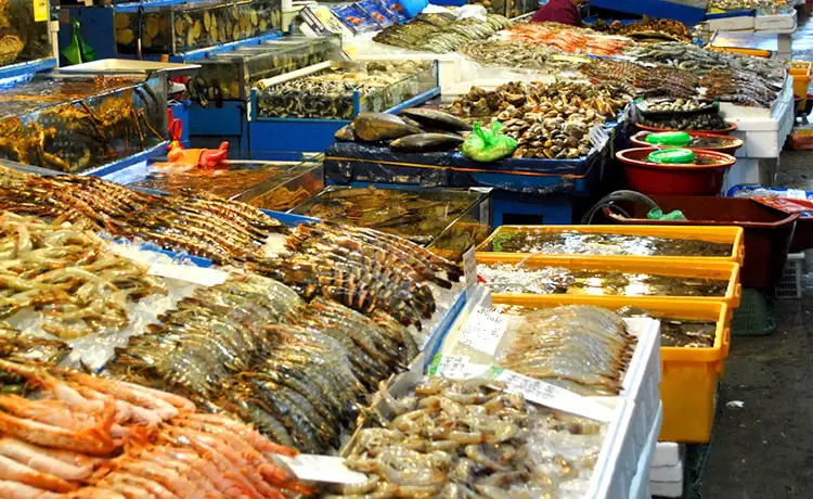 đặc sản hạ long hải sản tươi sống