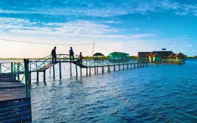 Đầm Thị Tường Cà Mau - Điểm đến Cà Mau
