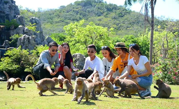 du lịch đảo khỉ nha trang