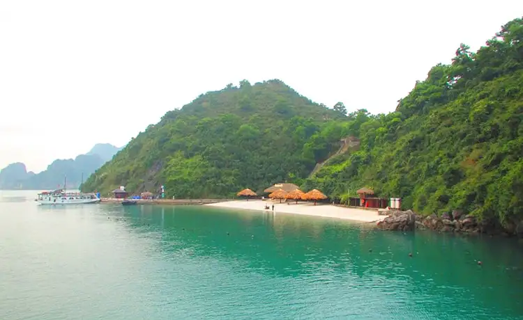 đảo soi sim vịnh hạ long