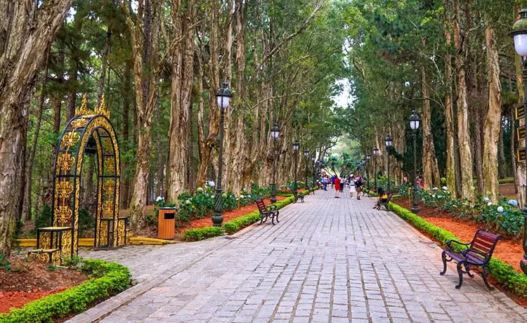 dinh 1 đà lạt dinh bảo đại