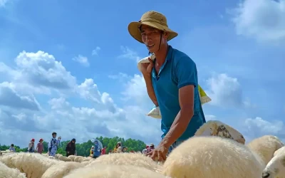 Đồi Cừu Vũng Tàu - Đồi cừu Suối Nghệ