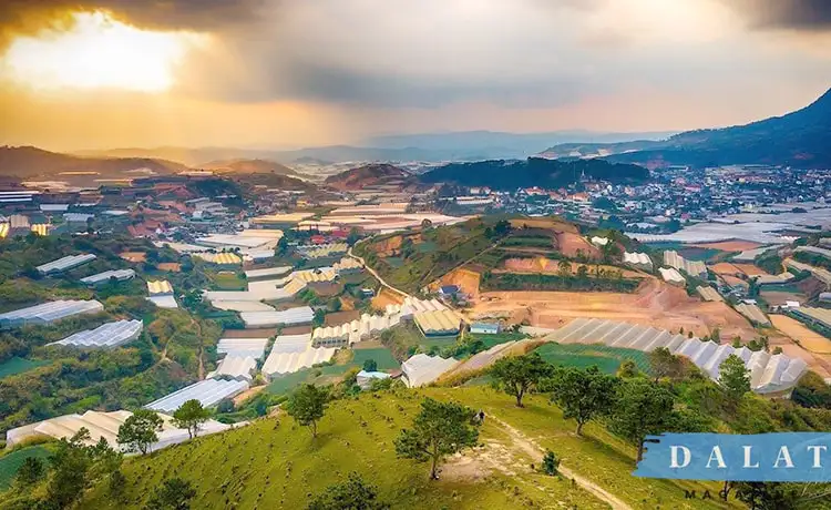 săn mây đồi thiên phúc đức đà lạt