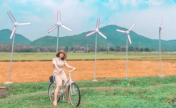 đồng cừu suối tiên nha trang