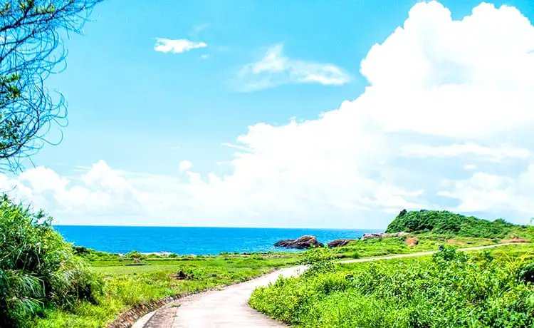 du lịch cô tô