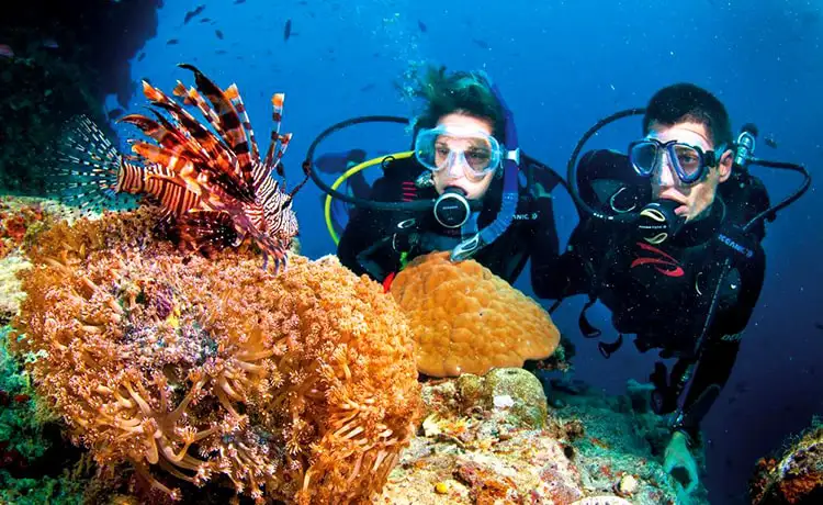 tour Sài Gòn Côn Đảo 2 ngày 1 đêm trên bộ