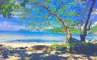 Đường vòng quanh đảo Thổ Chu