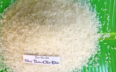 Gạo Nàng Thơm Chợ Đào - Đặc sản Long An