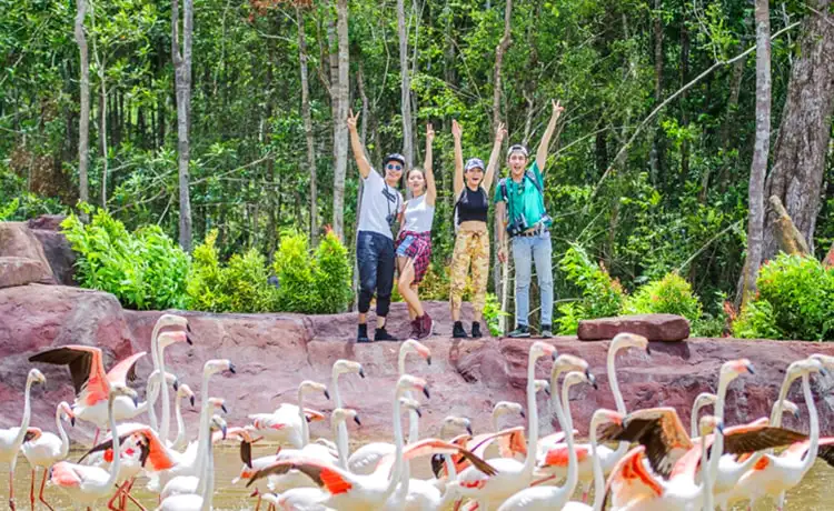 giá vé vinpearl safari phú quốc
