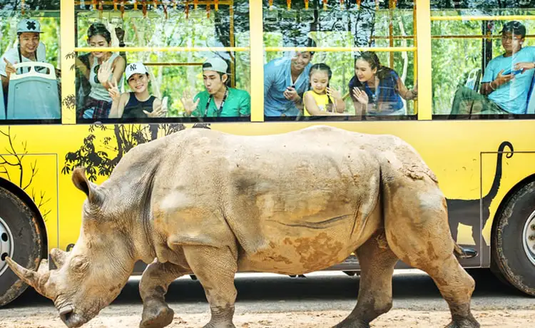 giá vé vinpearl safari phú quốc