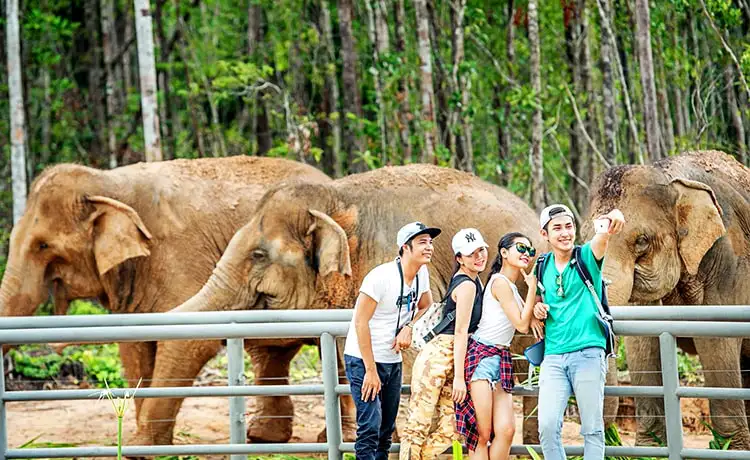 giá vé vinpearl safari phú quốc