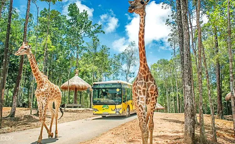 giá vé vinpearl safari phú quốc