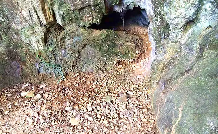 hang bói tràng an ninh bình
