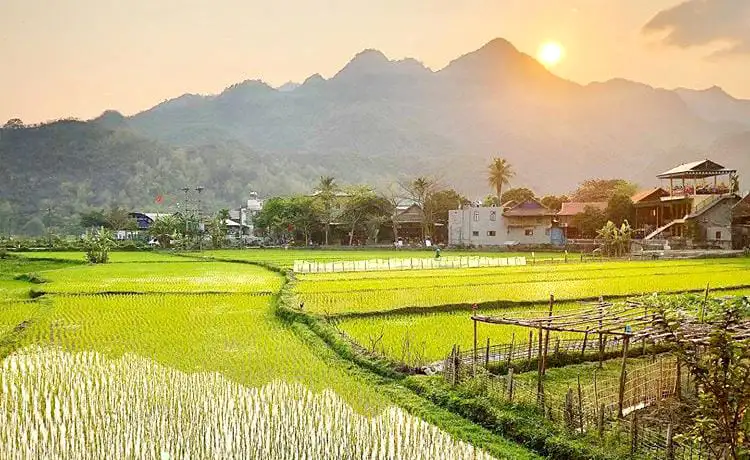 du lịch hang mỏ luông mai châu