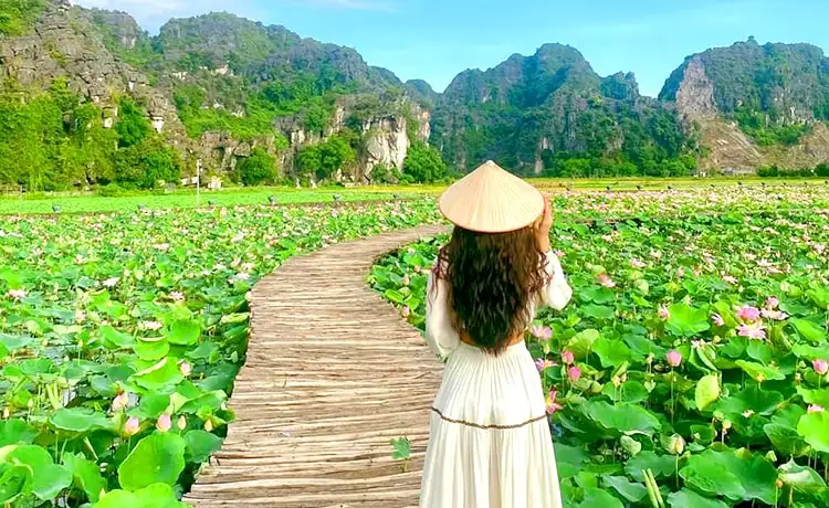 hang múa ninh bình