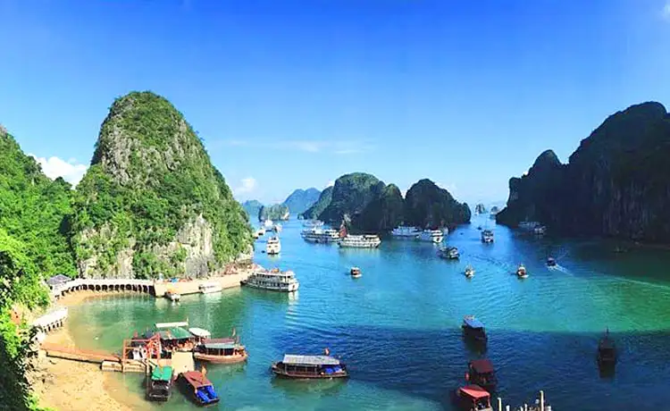 tour du lịch vịnh hạ long