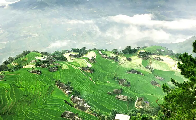 du lịch hoàng su phì hà giang