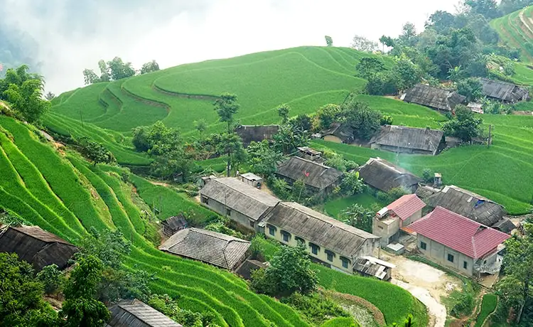 du lịch hoàng su phì hà giang