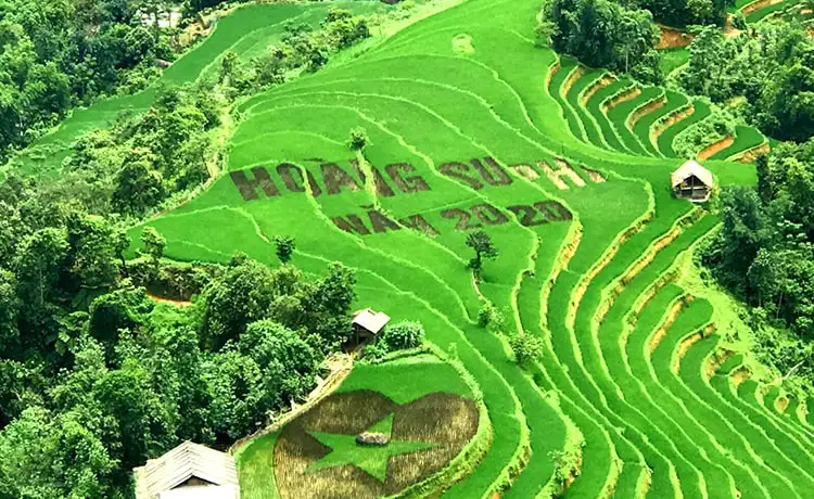 du lịch hoàng su phì hà giang