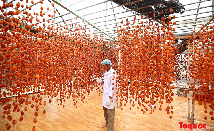 tour đồi chè cầu đất farm đà lạt 1 ngày