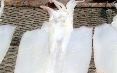 Khô mực một nắng - Đặc sản Thổ Chu