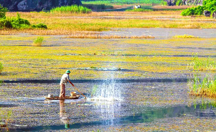 đầm vân long ninh bình