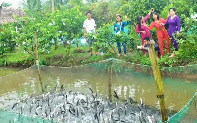 Quận Bình Thủy Cần Thơ - Khu Du Lịch Cần Thơ