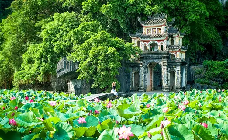 tam cốc bích động ninh bình