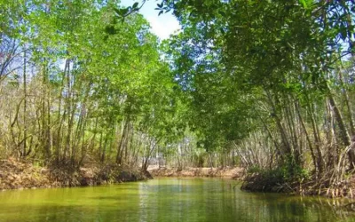 Khu Du Lịch Trà Vinh - Điểm đến Trà Vinh