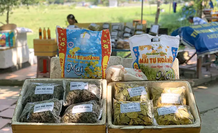 đặc sản lá rừng cù lao chàm